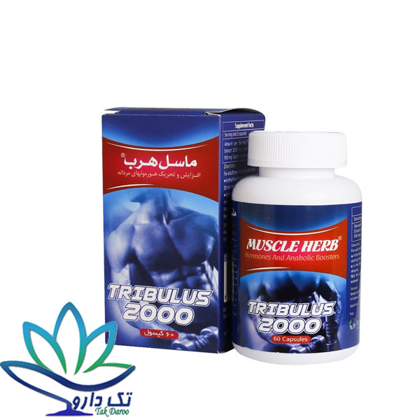 کپسول تریبولوس ماسل هرب بهتا دارو افزایش هورمون های مردانه 60 عدد کپسول تریبولوس ماسل هرب بهتا دارو افزایش هورمون های مردانه 60 عدد